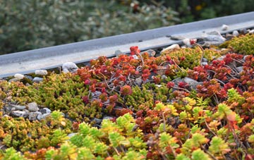 the cost of Duddon Common green roof installation