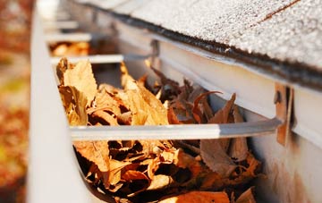Duddon Common gutter cleaning companies