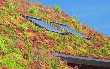 Duddon Common living roof systems