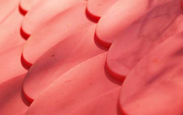 Duddon Common plastic roof costs