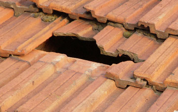 roof repair Duddon Common, Cheshire