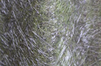 Duddon Common fibreglass roof work